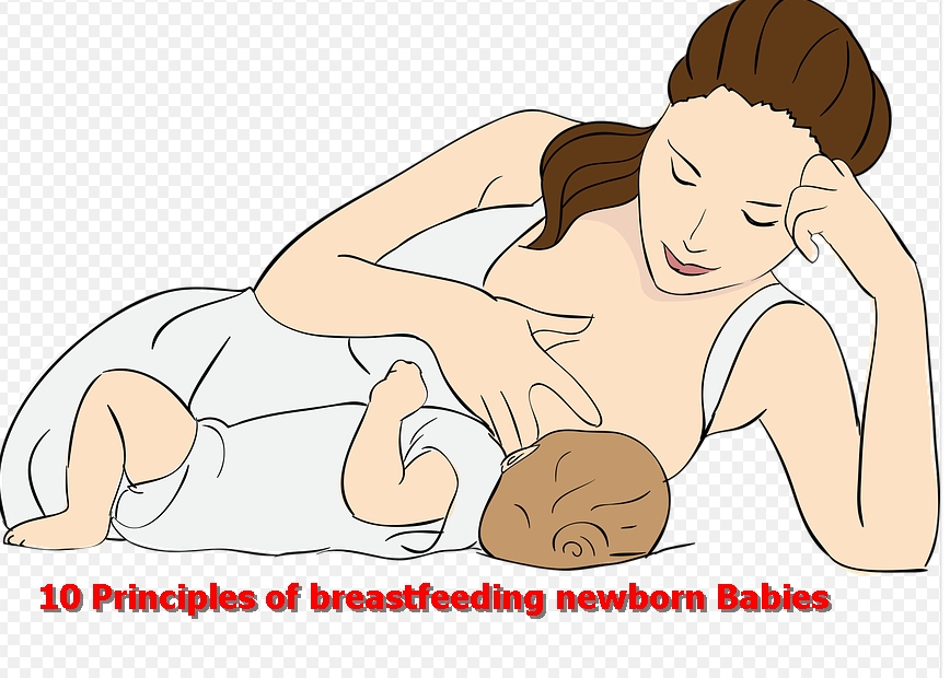 10 Principles of breastfeeding newborn Babies