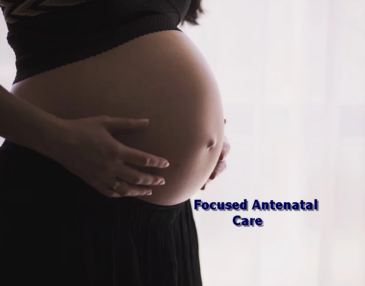 Importance of Focused Antenatal Care (FANC) to pregnant Mothers