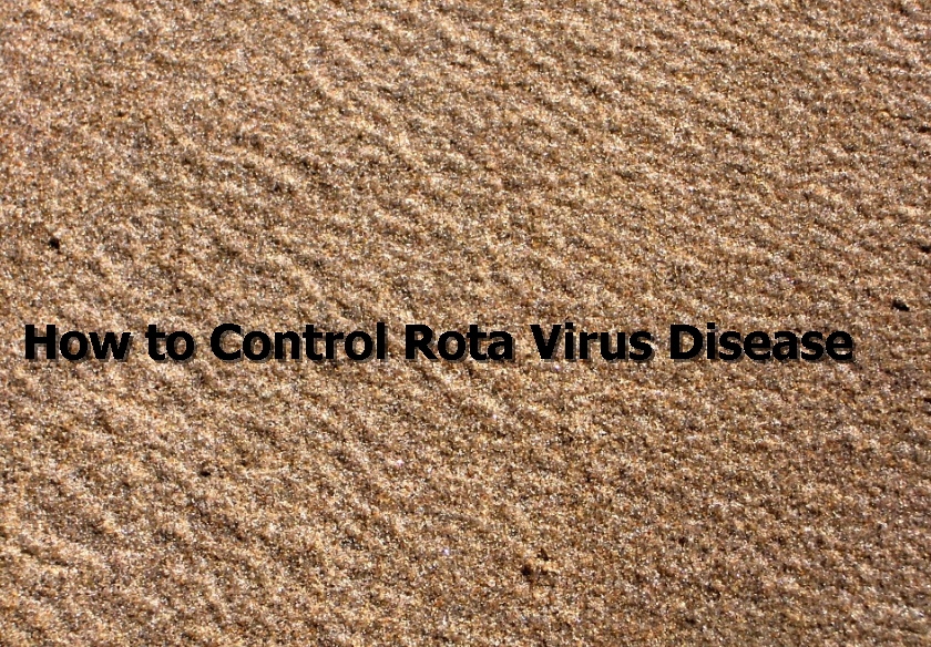 How to Control Rota Virus Disease