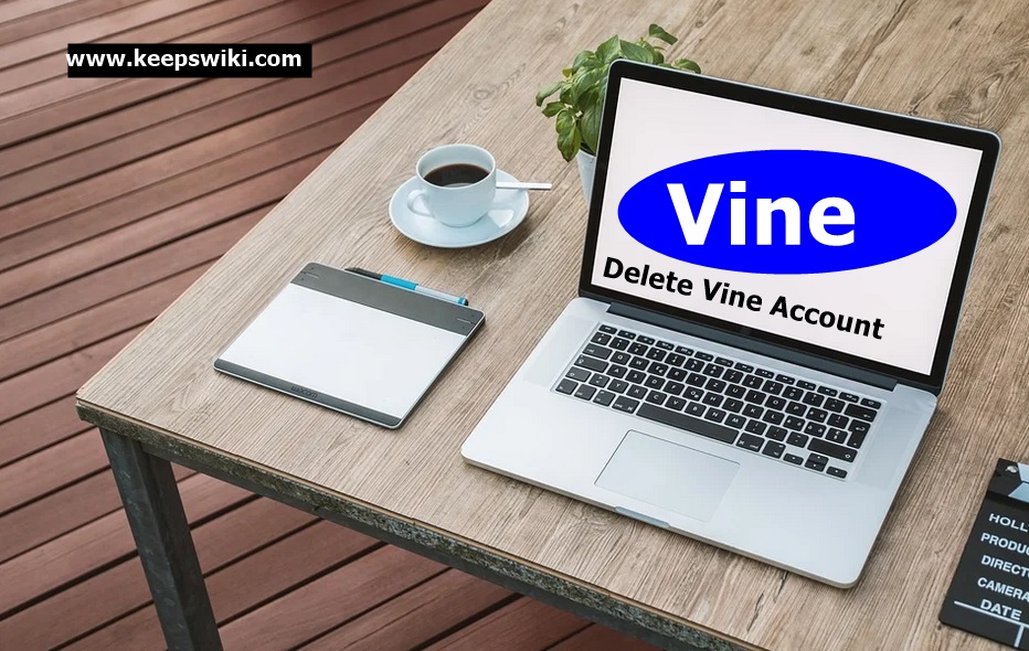 How To Delete The Vine Account