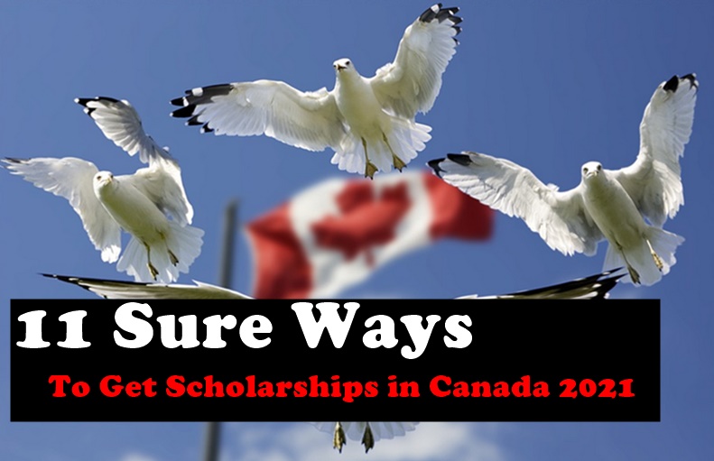11 Sure Ways to Get Scholarships in Canada