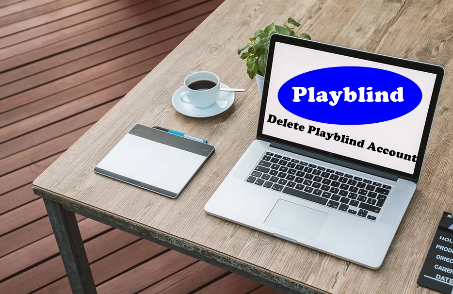 How To Delete Playblind Account