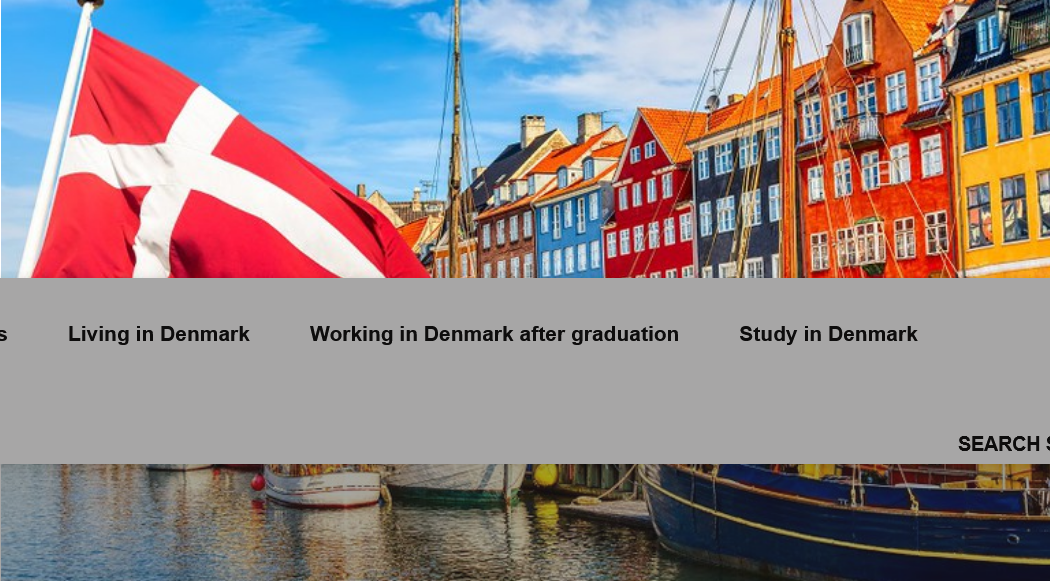 Danish State Tuition Fee Waivers and Scholarships - Roskilde University 2024-2025