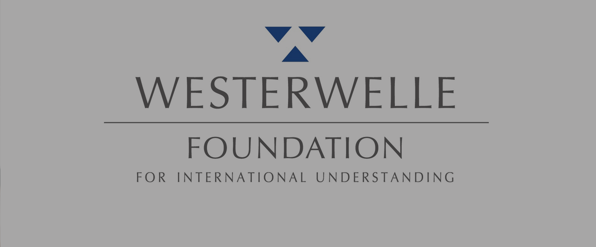 Westerwelle Foundation Young Founders Programme 2024