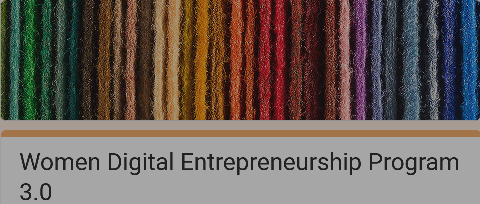 Access Bank/NerdzFactory Women Digital Entrepreneurship Program 2024