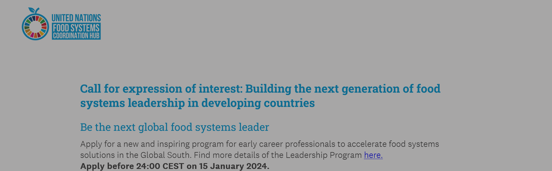 United Nations Youth Leadership Program - Developing Countries 2024