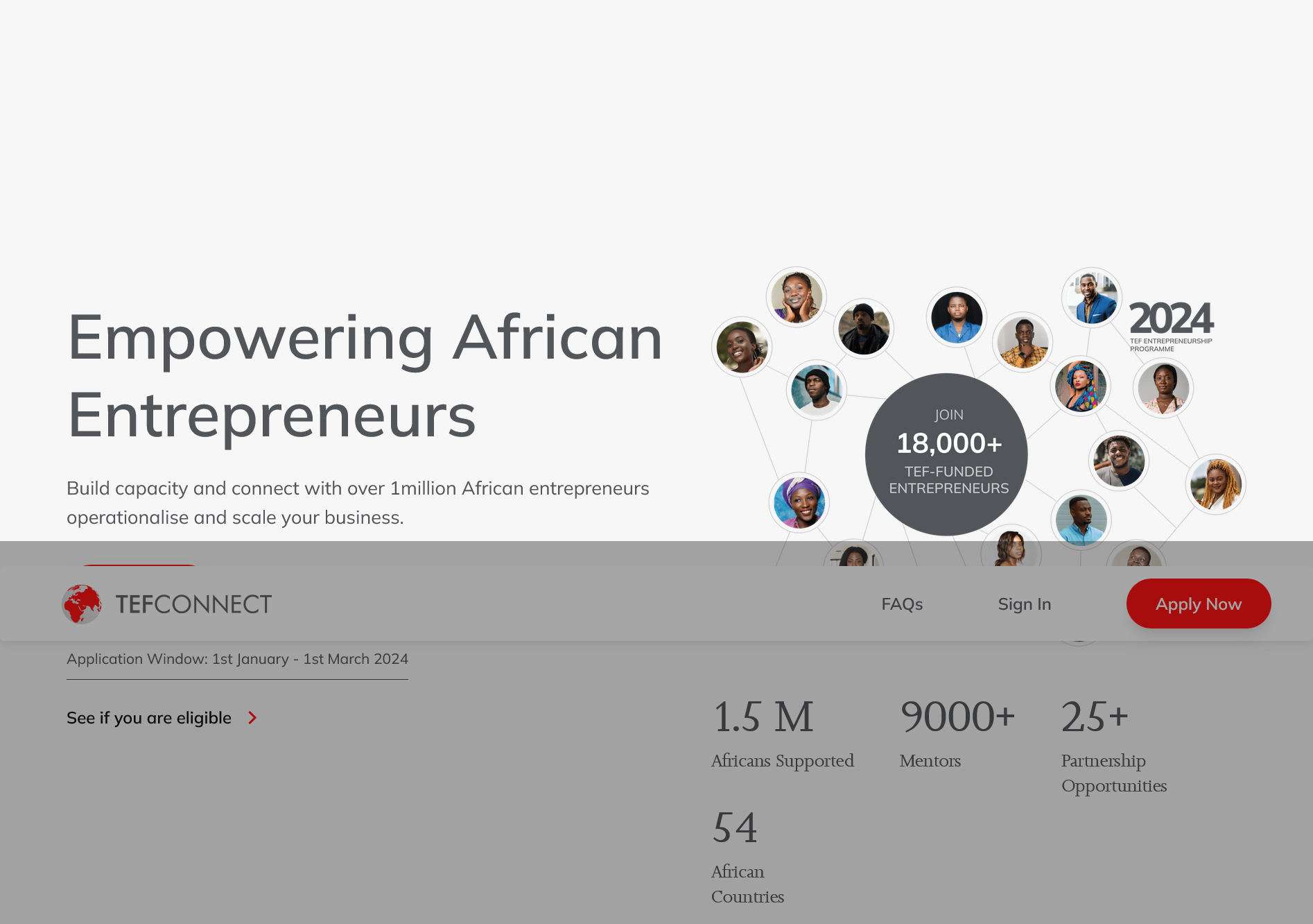 Tony Elumelu Foundation Entrepreneurship Program - African Entrepreneurs 2024