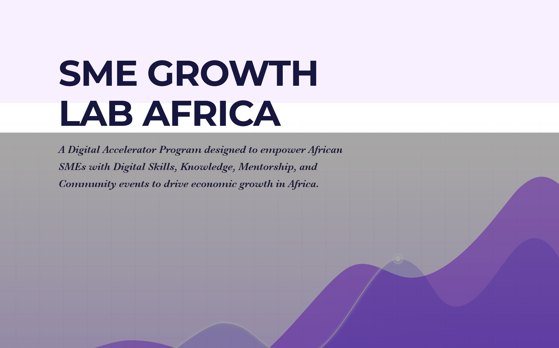 SME Growth Lab Africa (SGLAfrica) Digital Accelerator Program 2024