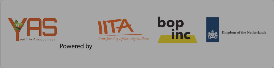 IITA Youth in Agribusiness Training Program 2024