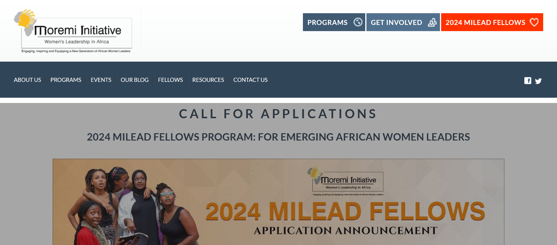 MILEAD Fellows Program for Young African Leaders 2024