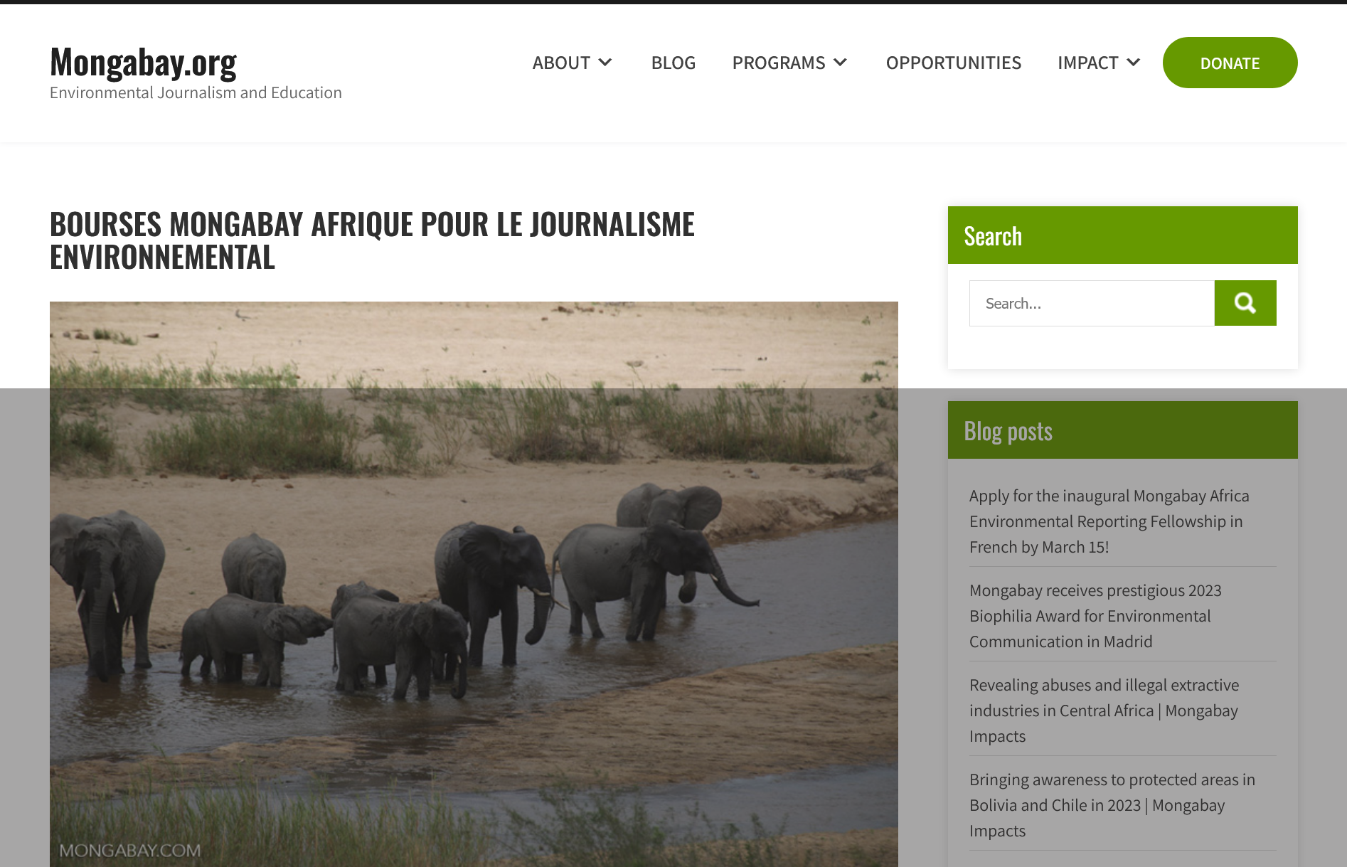 Mongabay Africa Scholarships for Environmental Journalism 2024