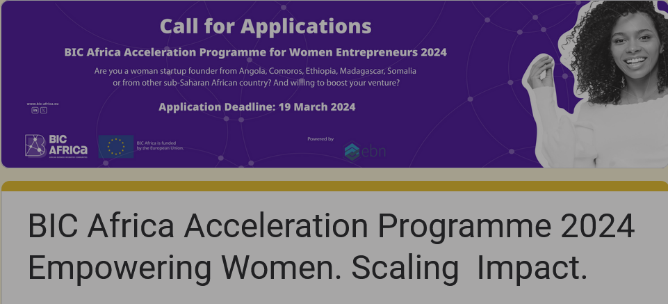 BIC Africa Online Acceleration Program for African Entrepreneurs 2024
