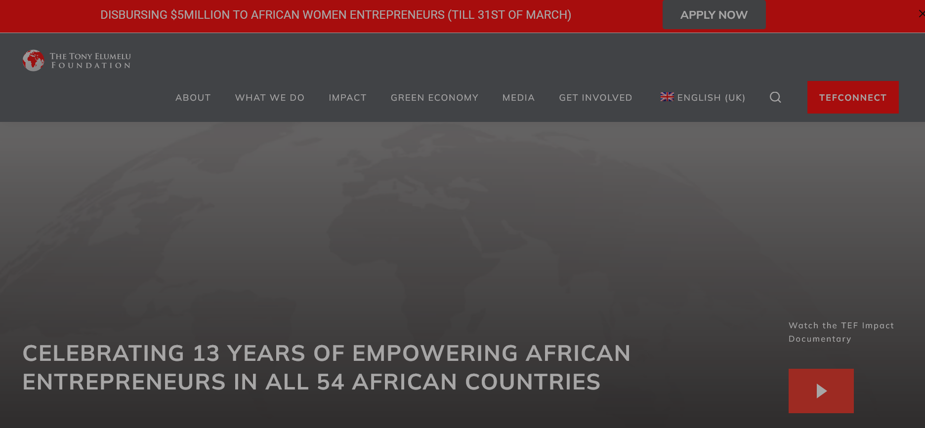 Tony Elumelu Foundation Women Entrepreneurship for Africa (WE4A) 2024