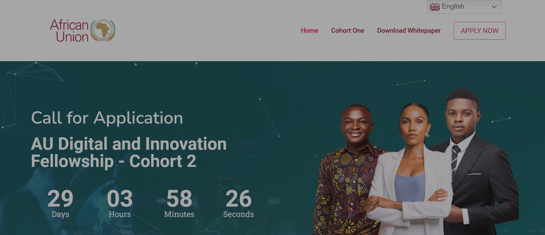 African Union Digital and Innovation Fellowship Program 2024