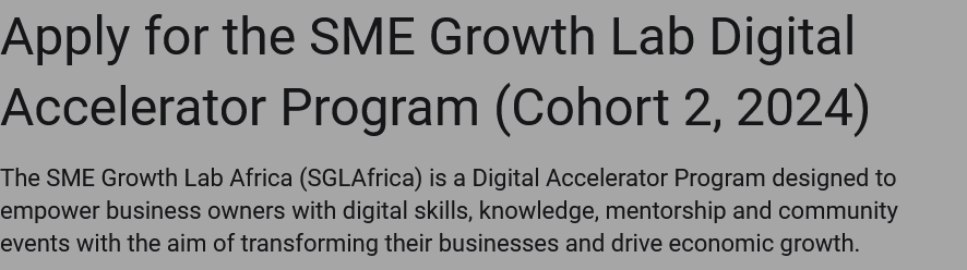 SME Growth Lab Africa Digital Accelerator Program for African Entrepreneurs 2024